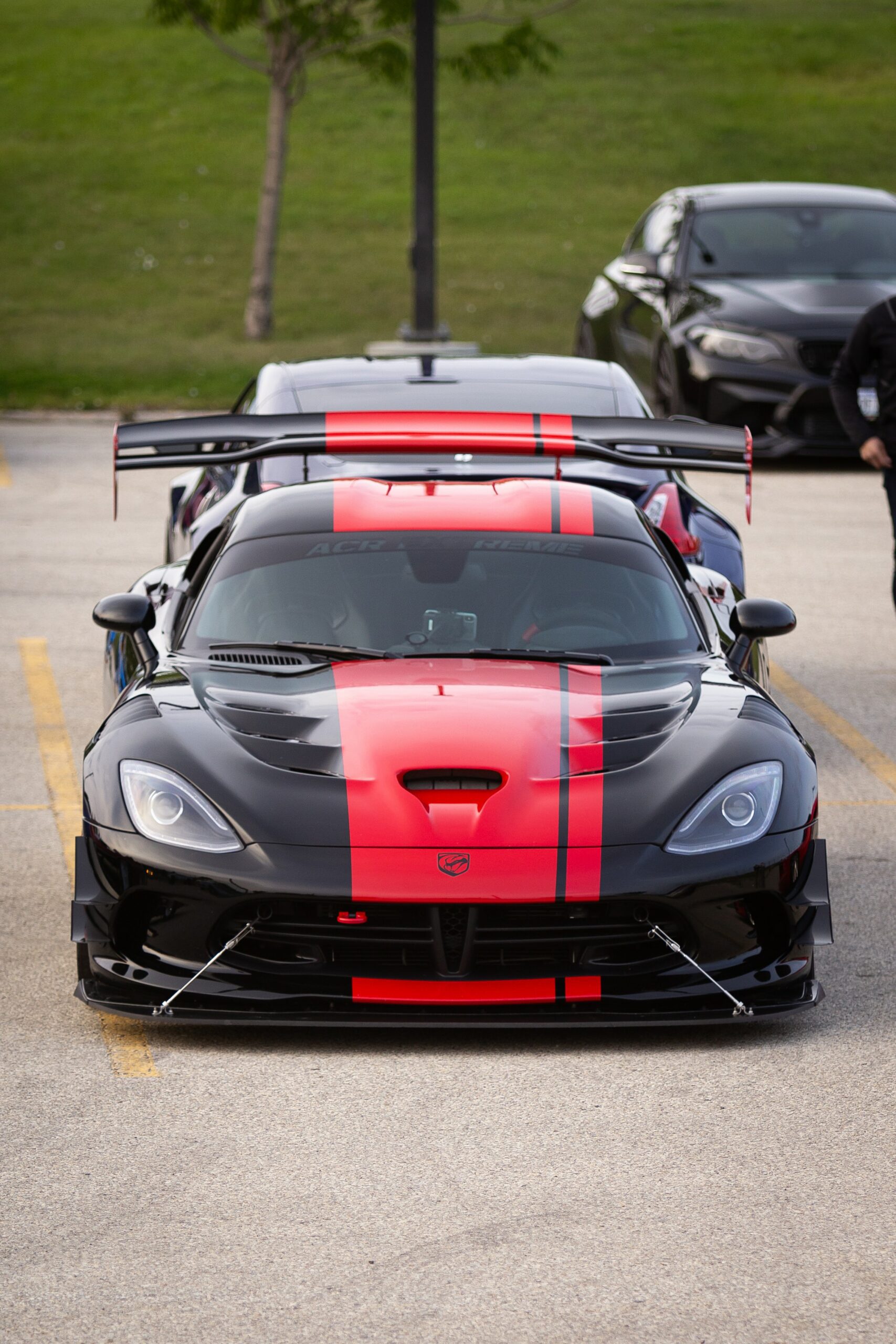 DODGE NUMBER PLATES img